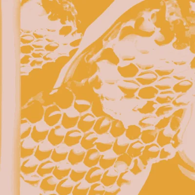 milk and honey