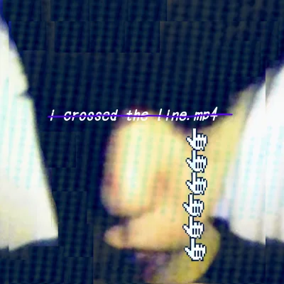 i crossed the line.mp4