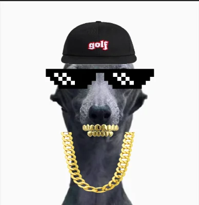 fxckin swag
