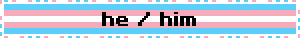 he / him