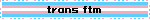 trans ftm