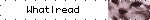 What I read