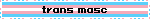 trans masc