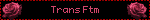 Trans Ftm