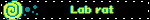 Lab rat