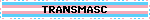 TRANSMASC