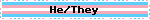 He/They