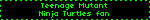 Teenage Mutant Ninja Turtles fan