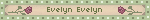 Evelyn Evelyn