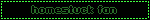 homestuck fan