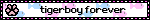 tigerboy forever