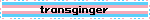 transginger