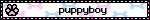 puppyboy
