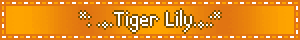 ☆*: .｡.Tiger Lily.｡.:*☆