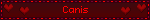 Canis