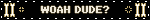 WOAH DUDE?