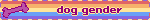 dog gender