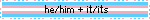 ㅤhe/him + it/its