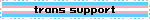 trans support