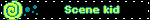 Scene kid