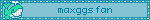 maxggs fan