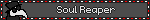 Soul Reaper