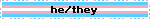 he/they