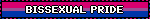 BISSEXUAL PRIDE
