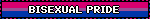 BISEXUAL PRIDE