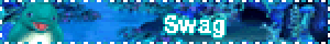 Swag