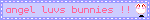 angel luvs bunnies !!