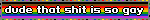 dude that shit is so gay