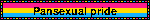 Orgulho pansexual