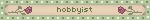 hobbyist