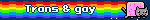 Trans & gay