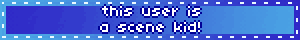 this user is a scene kid!