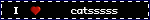 catsssss