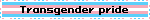 Transgender pride