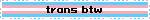 trans btw
