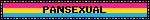 PANSEXUAL