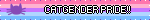 CATGENDER PRIDE!!