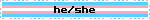 he/she