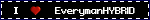 EverymanHYBRID