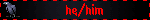 he/him