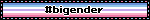 #bigender