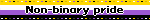 Non-binary pride