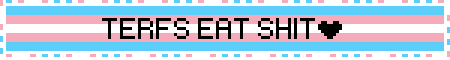 TERFS EAT SHIT💜