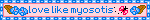 love like myosotis