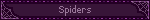 Spiders