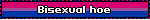Bisexual hoe